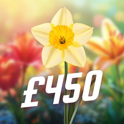 DAFFODIL £450 CASH WINNER