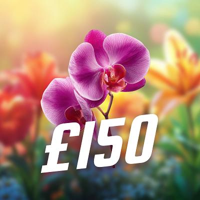 ORCHID £150 CASH WINNER 