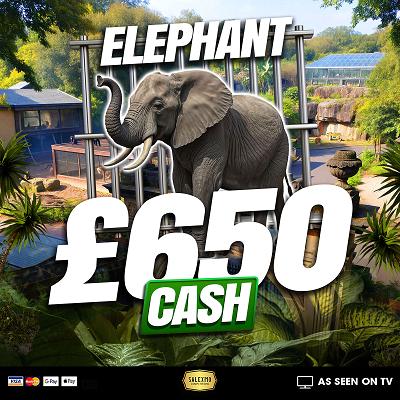 ELEPHANT £650 CASH WIN 