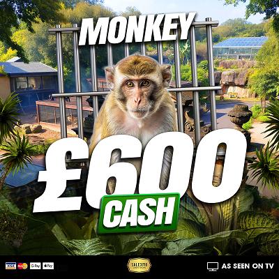 MONKEY £600 CASH WIN 