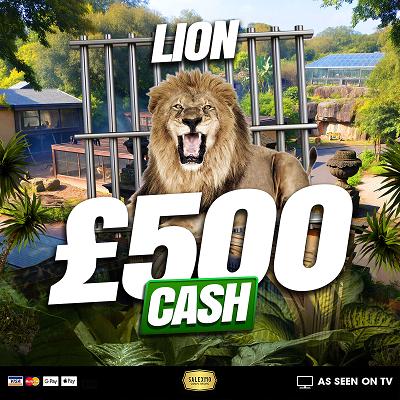 LION £500 CASH WIN 