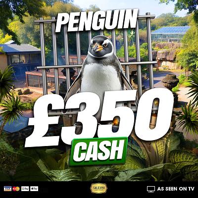PENGUIN £350 CASH WIN