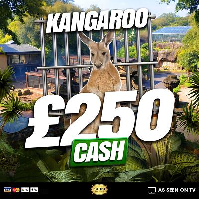 KANGAROO £250 CASH WIN 